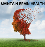 Read more about the article The Brain Health: “4 Important Ways To Maintain ”