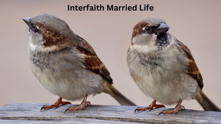 Interfaith Marriage